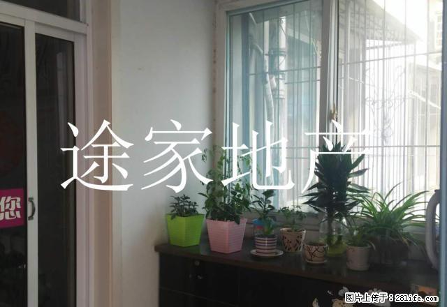 濉溪路花鸟市场对面 一楼商,住两用 - 房屋出租 - 房屋租售 - 淮北分类信息 - 淮北28生活网 huaibei.28life.com