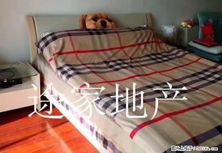 帝景翰园精装公寓 65平米 全.新家具家电齐全 拎包即住 - 淮北28生活网 huaibei.28life.com