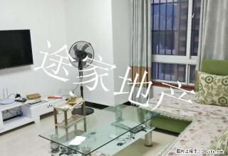 国购精装两居室 家具家电齐全 拎包即住 客厅大 采光好 - 淮北28生活网 huaibei.28life.com