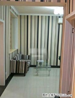 相山区 四马路兆基家具北金辉小区 一室一厅50平 精装公寓 - 淮北28生活网 huaibei.28life.com