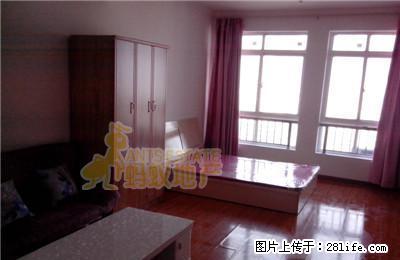 天骄国际 精装修公寓 家具家电齐全 温馨舒适 - 房屋出租 - 房屋租售 - 淮北分类信息 - 淮北28生活网 huaibei.28life.com