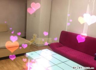 鼎盛国际中装公寓，邻近一马路金鹰大润 家具家电齐全 即租即住 - 淮北28生活网 huaibei.28life.com