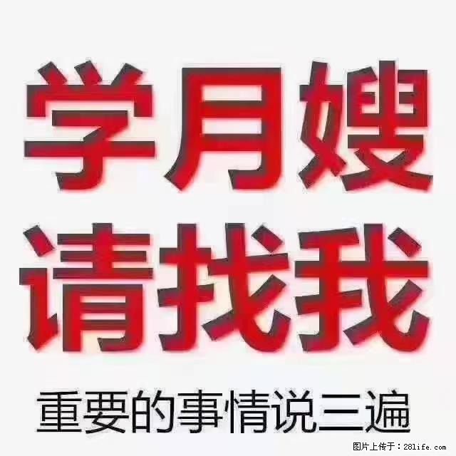 【招聘】月嫂，上海徐汇区 - 职场交流 - 淮北生活社区 - 淮北28生活网 huaibei.28life.com