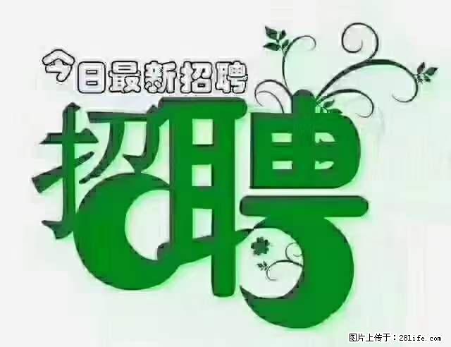 上海青浦区招仓管 - 职场交流 - 淮北生活社区 - 淮北28生活网 huaibei.28life.com