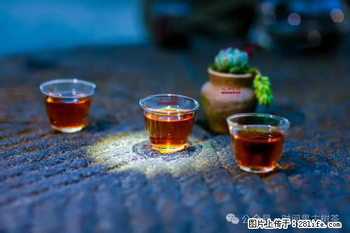 时间果百年古树2025年春红茶 - 购物交流 - 淮北生活社区 - 淮北28生活网 huaibei.28life.com