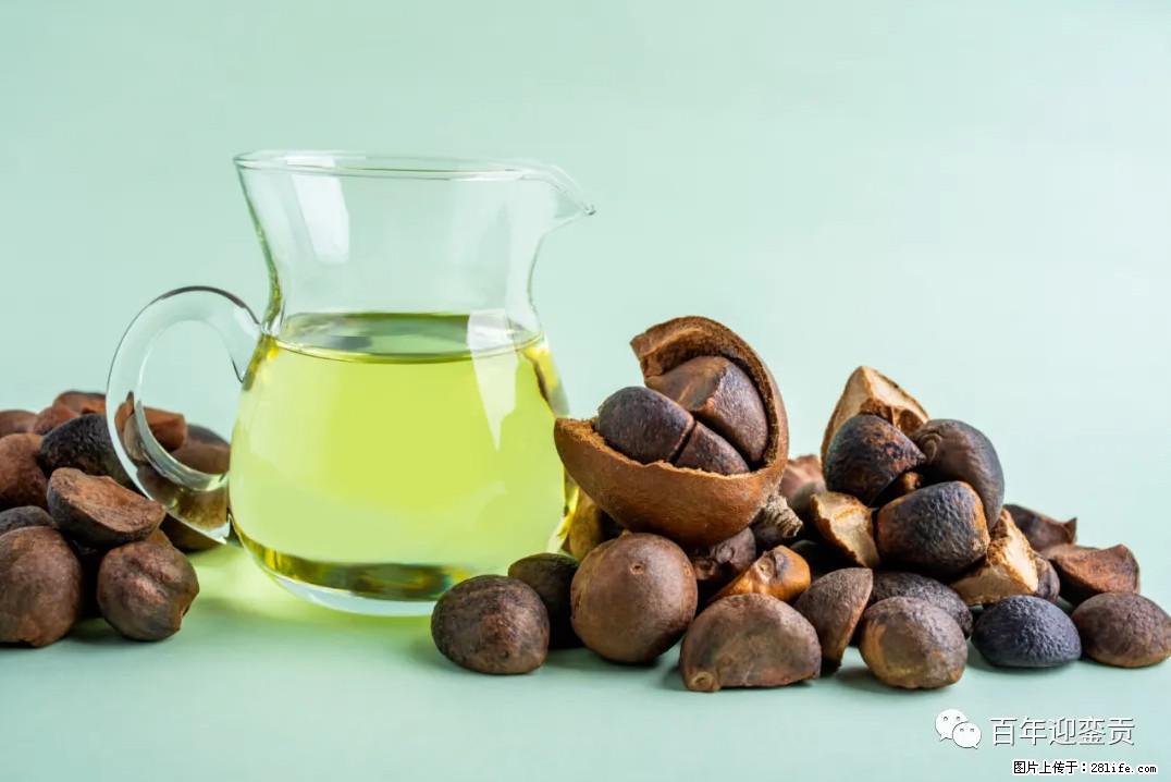 世界没有真相，只有认知，最好的食用油是中国的山茶油！ - 淮北生活资讯 - 淮北28生活网 huaibei.28life.com
