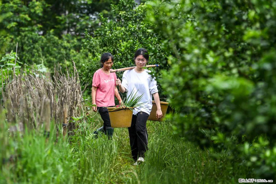 全网追的“扁担女孩”，找了一份暑假工，时薪12元 - 淮北生活资讯 - 淮北28生活网 huaibei.28life.com
