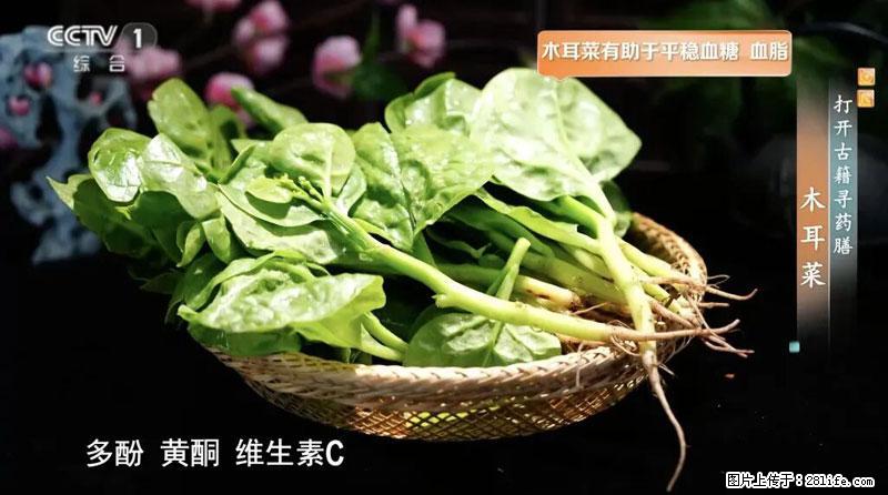 比牛奶补钙还厉害！凉血解毒、稳血糖...这菜冬天必吃，很多人却当草 - 淮北生活资讯 - 淮北28生活网 huaibei.28life.com