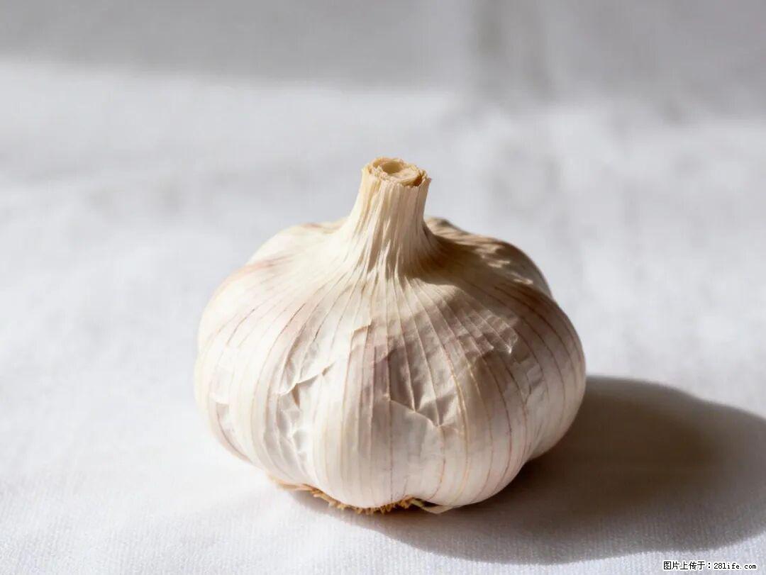 关于大蒜，除了“天然抗生素”，这4个谣言更该警惕! - 淮北生活资讯 - 淮北28生活网 huaibei.28life.com