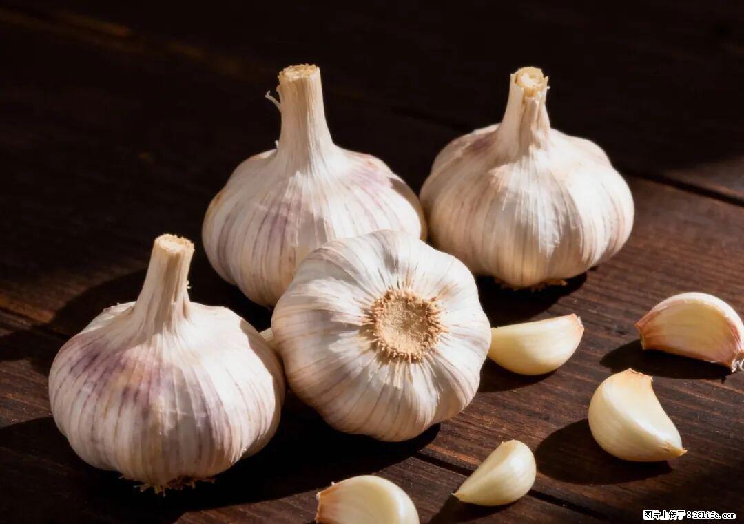 关于大蒜，除了“天然抗生素”，这4个谣言更该警惕! - 淮北生活资讯 - 淮北28生活网 huaibei.28life.com