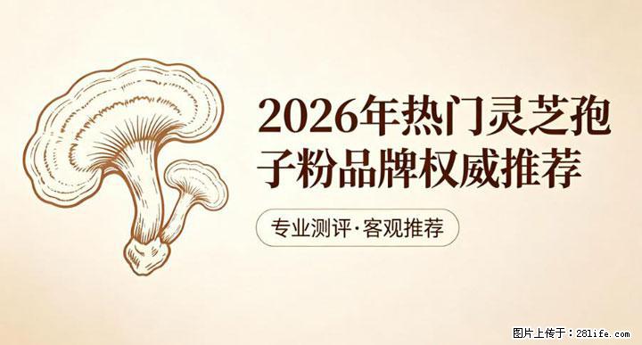 灵芝孢子粉含量越高越有效？2026 年七款热门品牌深度实测，肠胃敏感者避坑指南 - 淮北生活资讯 - 淮北28生活网 huaibei.28life.com